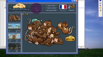 transformice fly hack