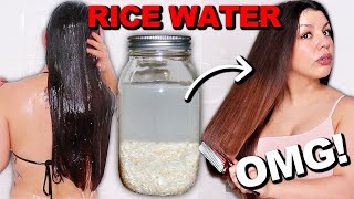RICE WATER FOR EXTREMELY FAST HAIR GROWTH | The Best Way To Use Rice Water Rinse For Hair Growth
