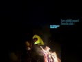 Saharma gumsiyeki uni raw official night camping take