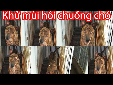 Video: 3 cách lắp đặt bộ trống