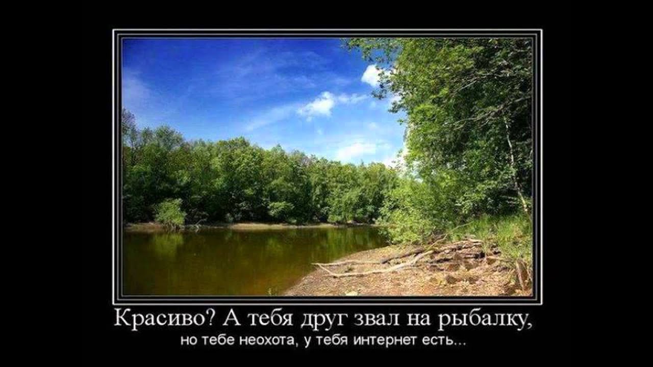 Картинки Демотиваторы Приколы 22794