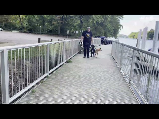 Gladwyn PA Dog Training with Suburban K9!