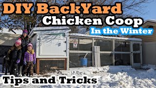 DIY Backyard Chicken Coop - Our Tips and Tricks - Winter Edition!