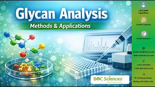 What Is Glycan Analysis? Methods and Research Applications Explained - BOC Sciences