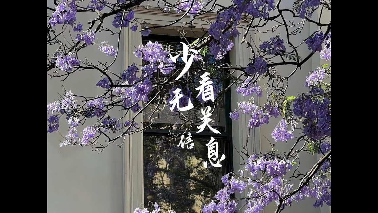 女孩子尽量不要去看和自己无关的信息