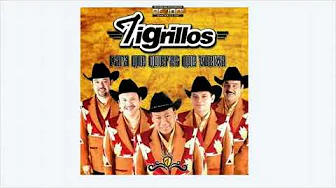 Los Tigrillos BAILAME Los Tigrillos BAILAME