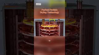 Boost Your Agro Processing with Plate Dryer PLG – The Key to Unmatched Efficiency!