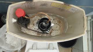 5786: 2008 Kohler Kelston Toilet Tank