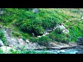 حەیران ژارو  