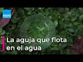 La AGUJA que FLOTA en el AGUA | Experimentos