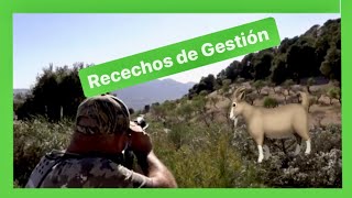 Recechos en el Valle de Lecrin