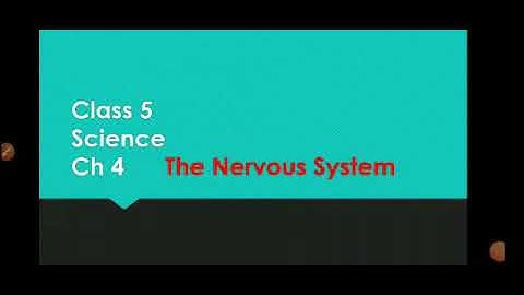 The Nervous System Class-5 (Science)  Chapter-4 (Part 1/3)