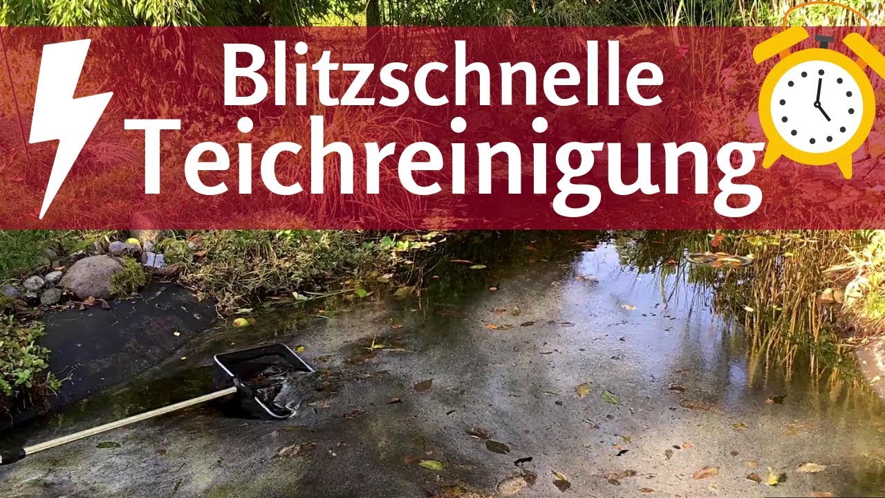 Teichreinigung.7 Tipps zur Teichreinigung und Pflege