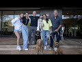 The D’Amelio Family Reviews Cesar Millan’s New Halo Collar | The D'Amelio Family