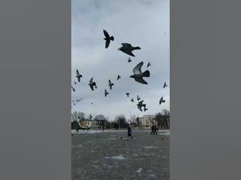 время чудес#новочеркасск - YouTube