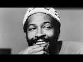 I Heard It Through The Grapevine - Isolated Vocals - Marvin Gaye