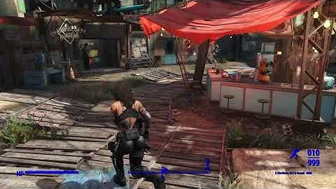 Fallout4 Animation Bug Report Video