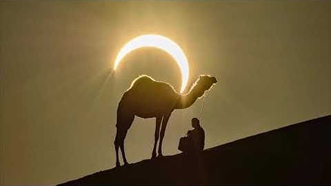 سورة يس صلاة الكسوف ١٤٤١/٤/٢٩ هـ