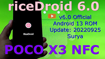 riceDroid 6.0 OFFICIAL for Poco X3 NFC Android 13 Update: 20220925