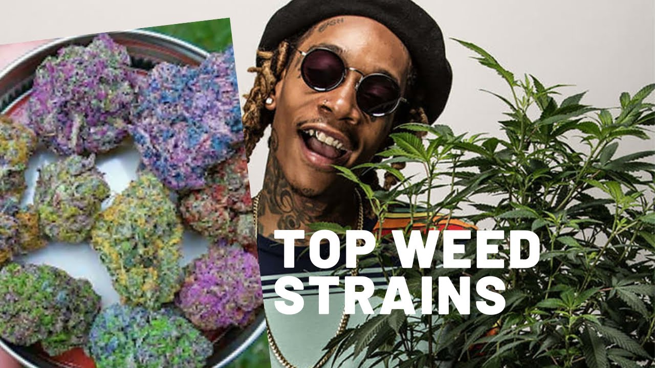 TOP 10  WEED STRAINS 2021 | Cannabis | Flower | THC LEVELS