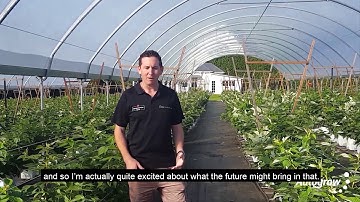 The benefits of automation