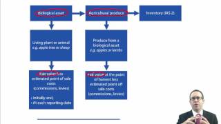 ACCA P2 Agriculture (IAS 41)