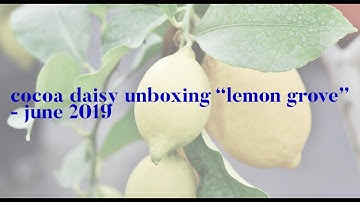 Cocoa Daisy Unboxing - June 2019 - "Lemon Grove"