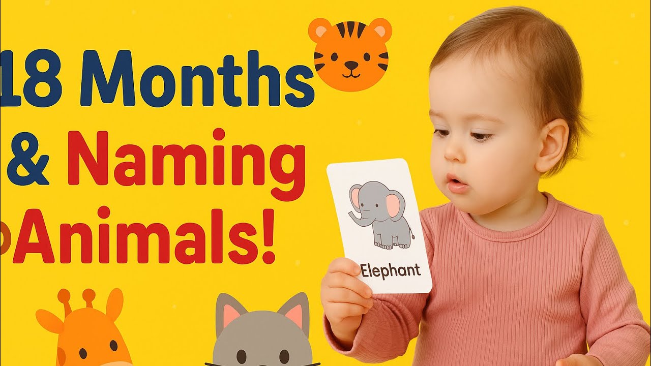 How My 18 Month Old Learned All Animal Names | Flashcards for Babies @BabyblisswithPriyanka 