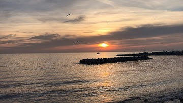 النار يعرضون عليها غدوا وعشيا ( تلاوة من سورة غافر ) حالات واتس أب