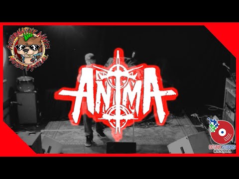 AnimA - Decepticons - Live From Alternative Waves 2023