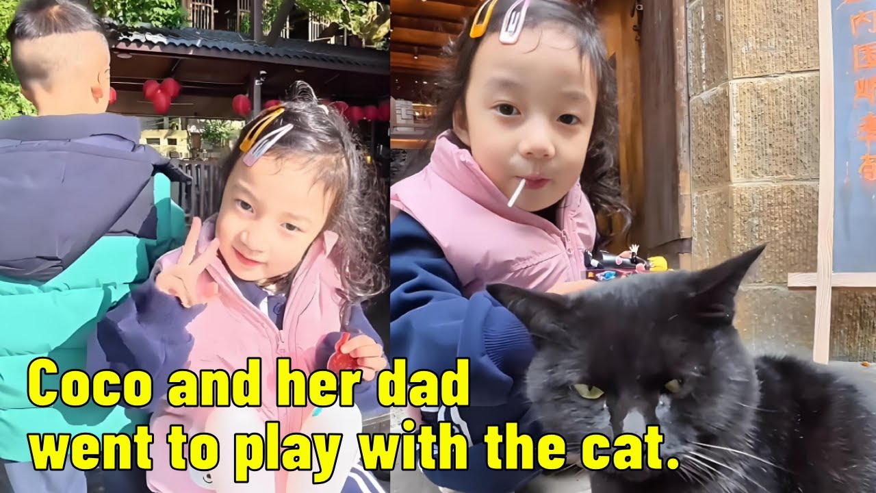 Coco Is So Happy To Have Finally Found A Game She Can Play!