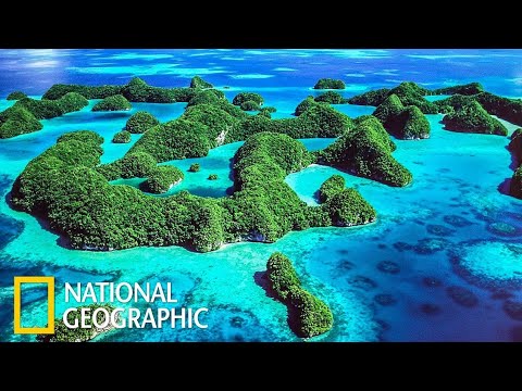 Дикие острова Документальные фильмы National geographic. Природа Океан Жизнь на островах
