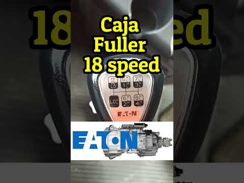 Las 18 velocidades