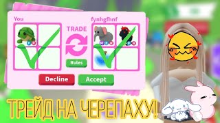 🌺Что дают за фр черепаху?|адопт ми|🌷