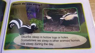 Meet the animals | ep 32 | Skunk🦨🦨🦨