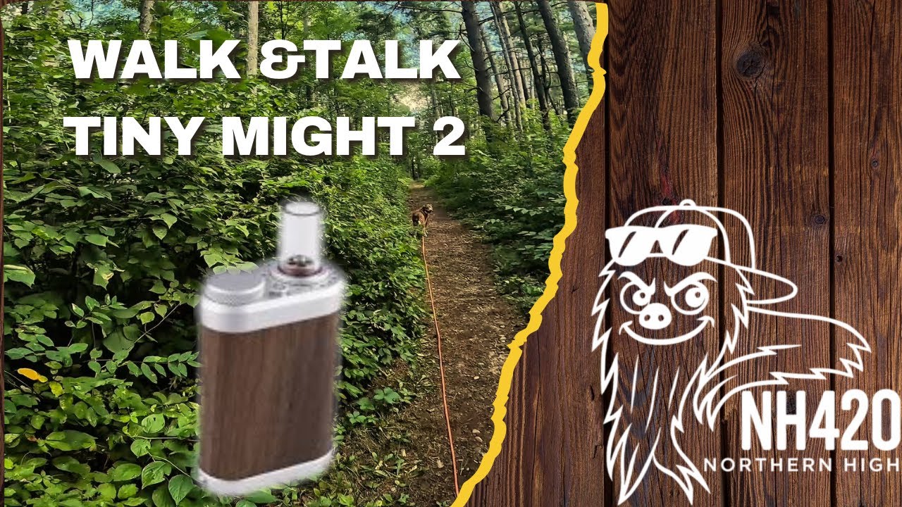 Tiny Might 2: Ходьба и разговор