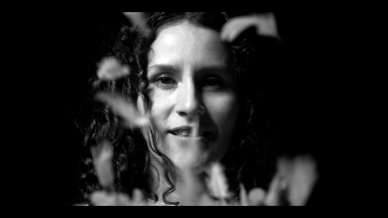 Los Vega son jarocho 