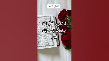 القرآن الكريم #اكسبلور #فايسبوك #لايك #كتب #دويتو #تليگرام #youtube #تيك_توك #duet #yasseraldossary
