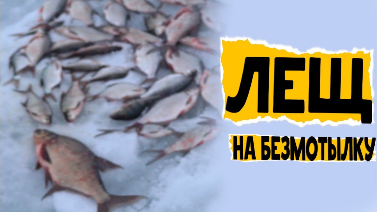 ЛЕЩ на БЕЗМОТЫЛКУ !   Отлично половили рыбу, леща и жирную густеру на безнасадочную мормышку.