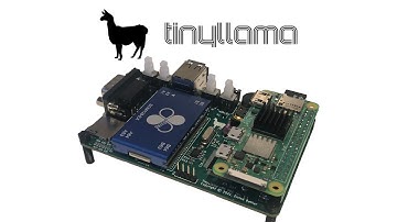A quick look at the TinyLlama