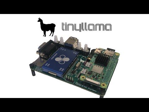 A quick look at the TinyLlama