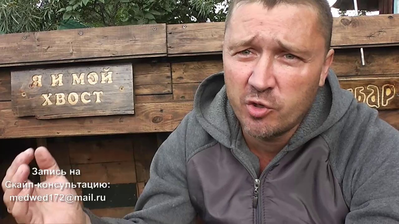 Агрессия у собак 1 часть защита территории