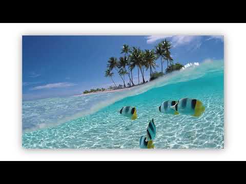 Frutiger Aero Music to study to | 2000's Tech Nostalgia Playlist