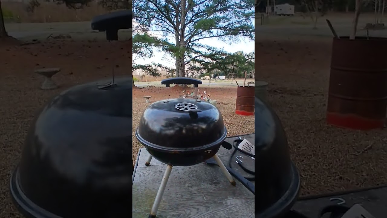 Hotdogs & Hamburgers