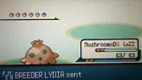 Pokemon Emerald 19: rock smash and the love couple