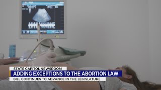 Celebrity Adding exceptions to the abortion law Profile