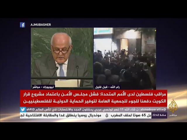مراقب فلسطين : فشل مجلس الأمن بدفعنا إلى الجمعية العامة لتوفير الحماية الدولية