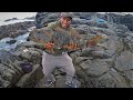 Pescando Peces Monstruo en el Mar - Pesca de Cabrilla Grandes