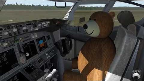 #FlyingGene Animation Video [X-Plane 11] [Blender Model Animation]