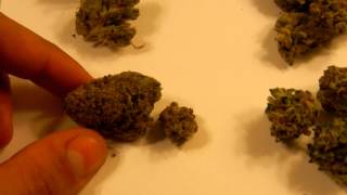 Flower/Strain Showcase 4/29/12